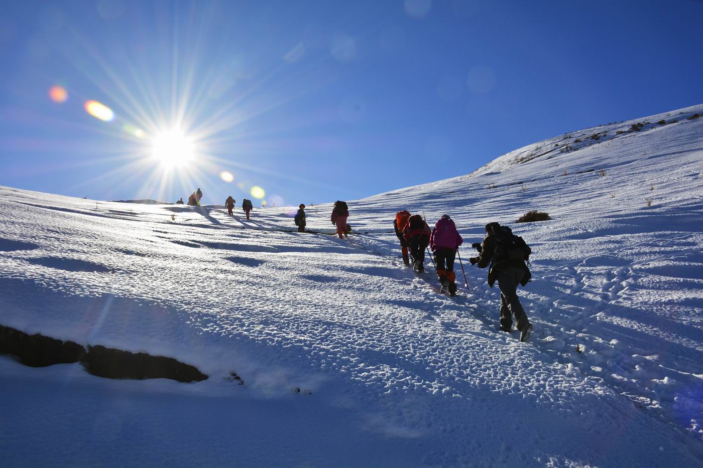 ������С _DSC0733.JPG