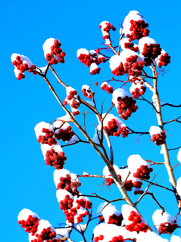 ���۶��� (1).jpg