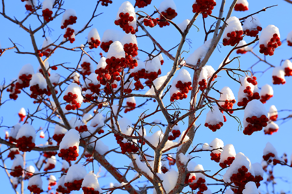 ���۶��� (2).jpg