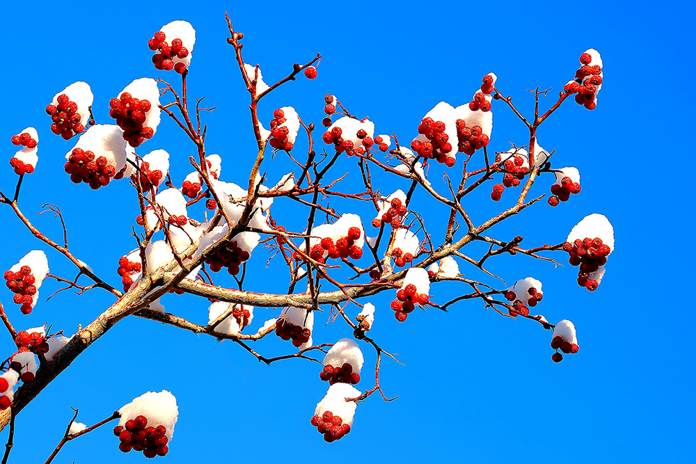 ���۶��� (3).jpg