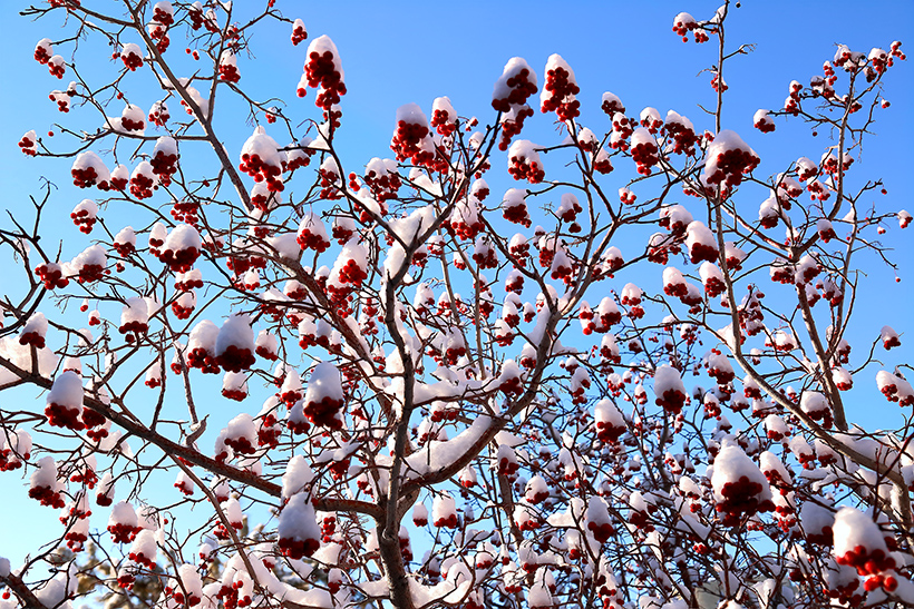 ���۶��� (4).jpg