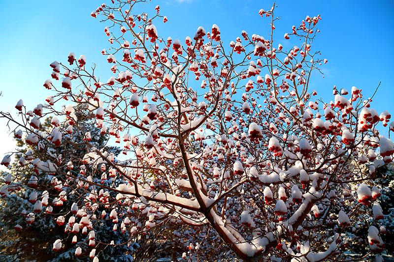 ���۶��� (5).jpg