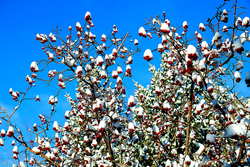 ���۶��� (6).jpg