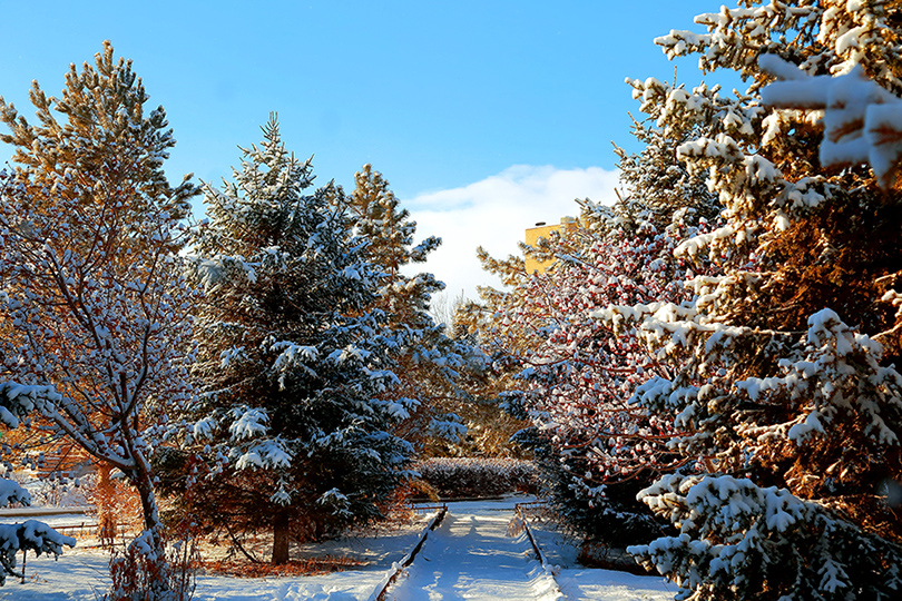 ���۶��� (7).jpg