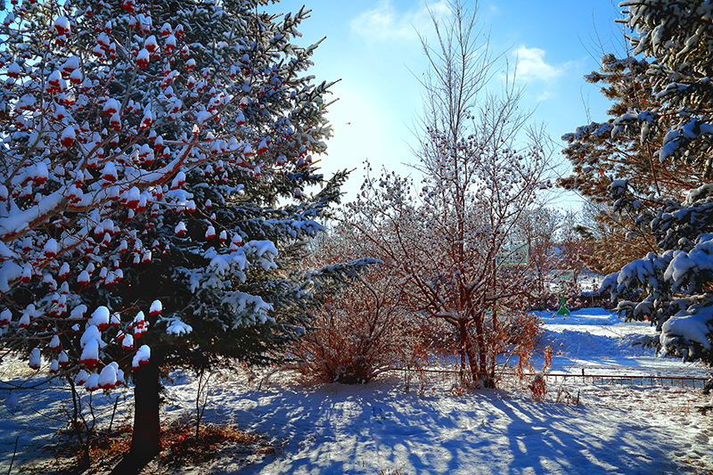 ���۶��� (8).jpg