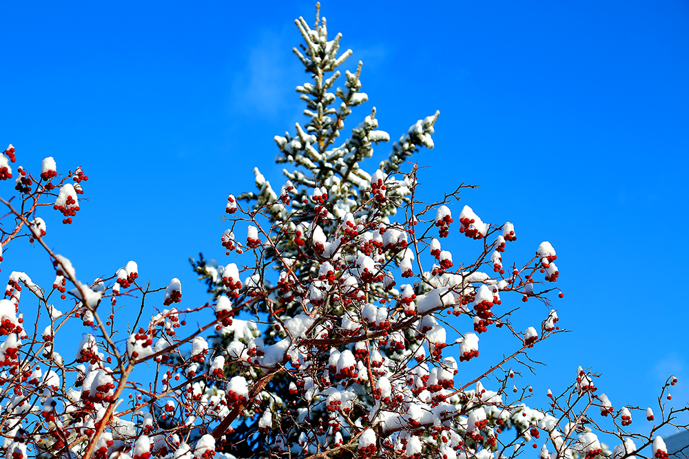 ���۶��� (9).jpg