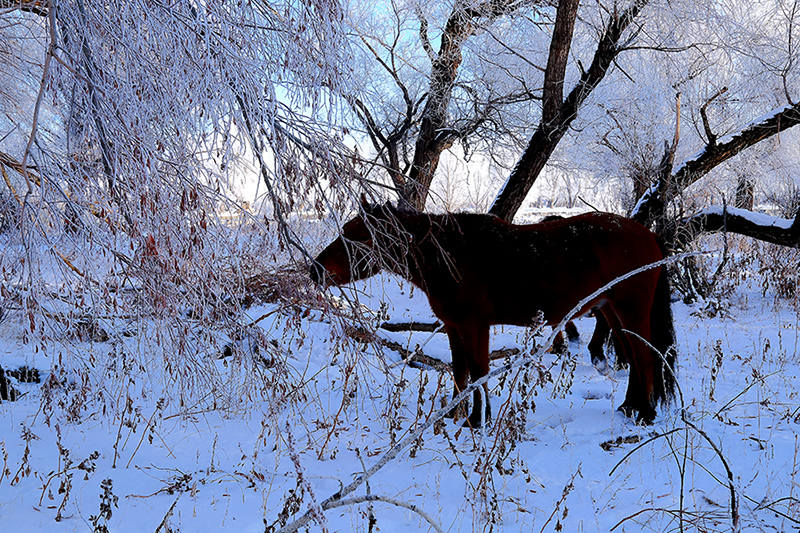 ��Ӷ��ϣ�һ�� (1).jpg