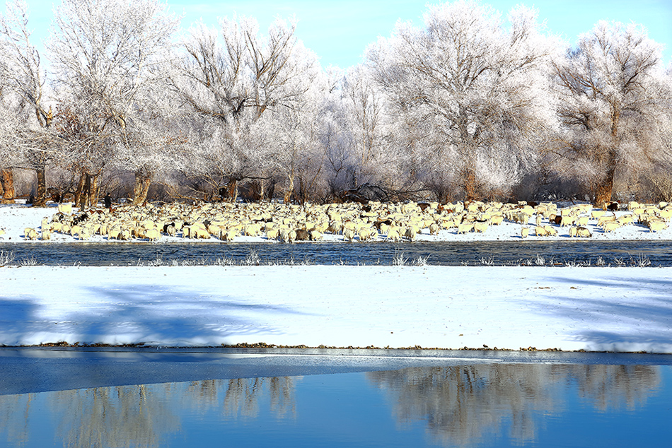 ��Ӷ��ϣ�һ�� (4).jpg