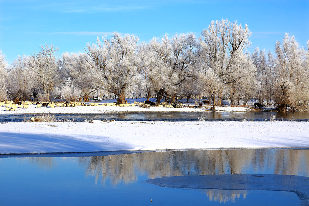 ��Ӷ��ϣ�һ�� (5).jpg