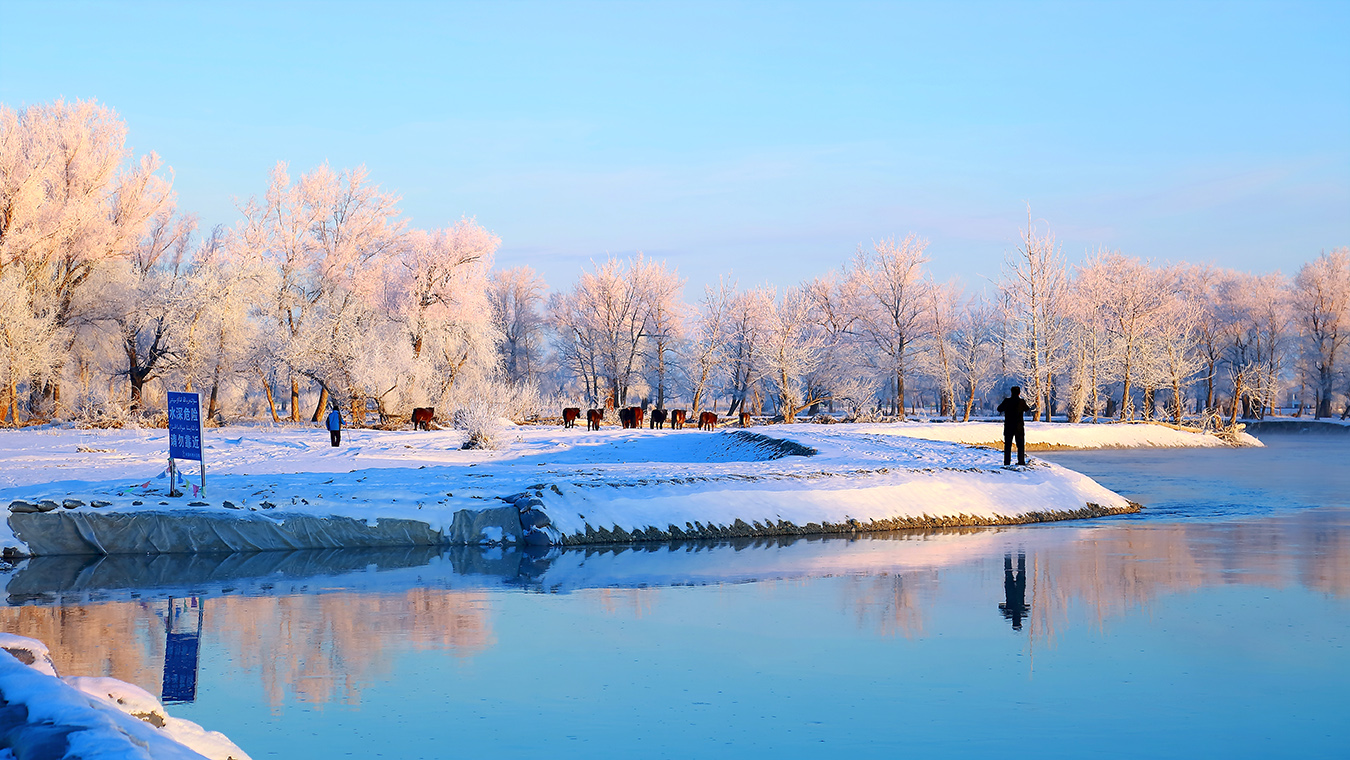 ��Ӷ��ϣ�һ�� (7).jpg