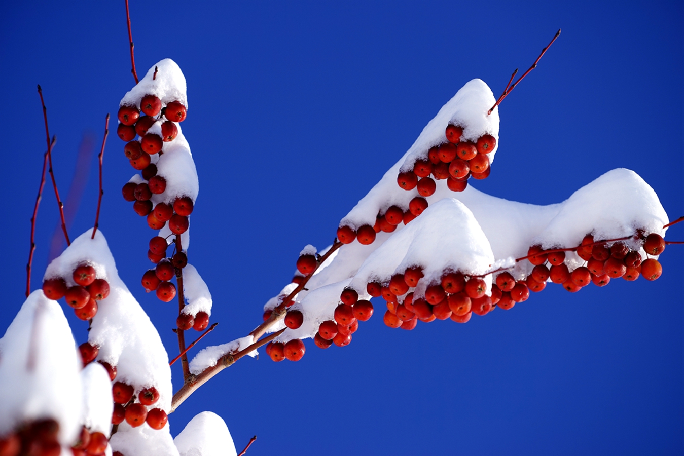 ���Ǻ�« (11).jpg