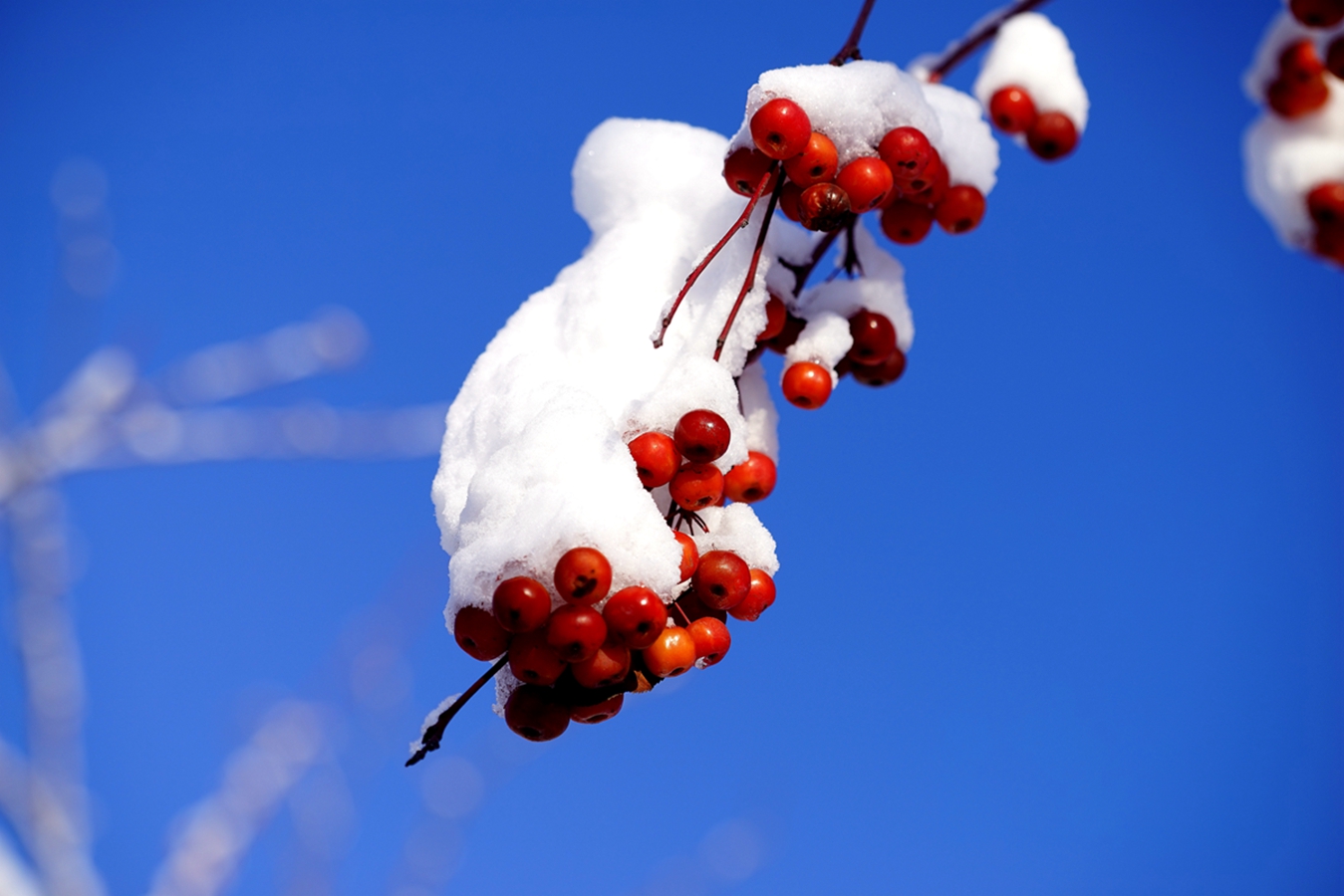 ���Ǻ�« (2).jpg