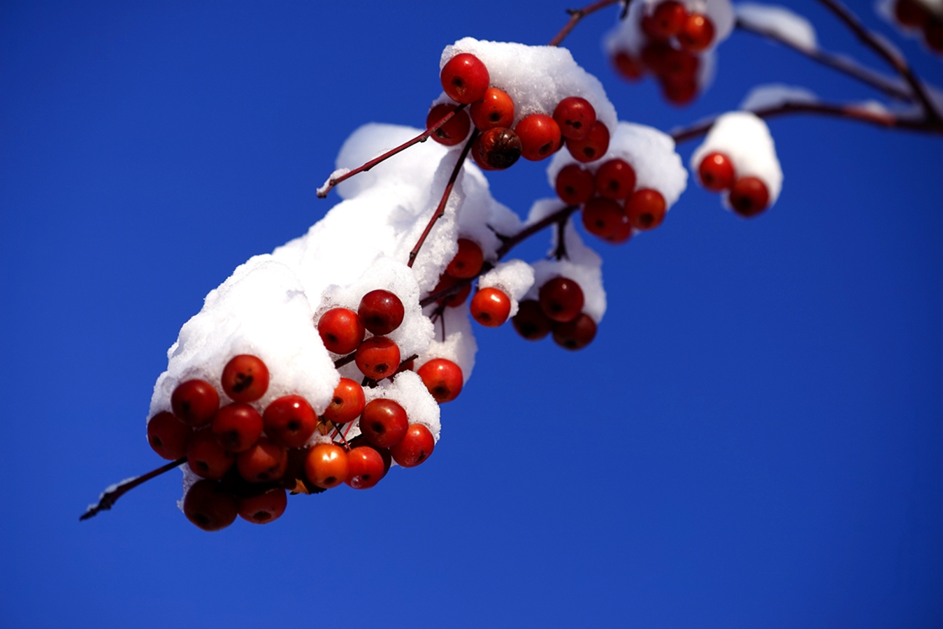 ���Ǻ�« (3).jpg