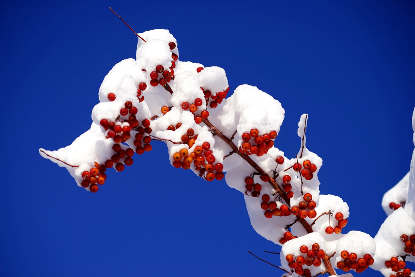 ���Ǻ�« (4).jpg