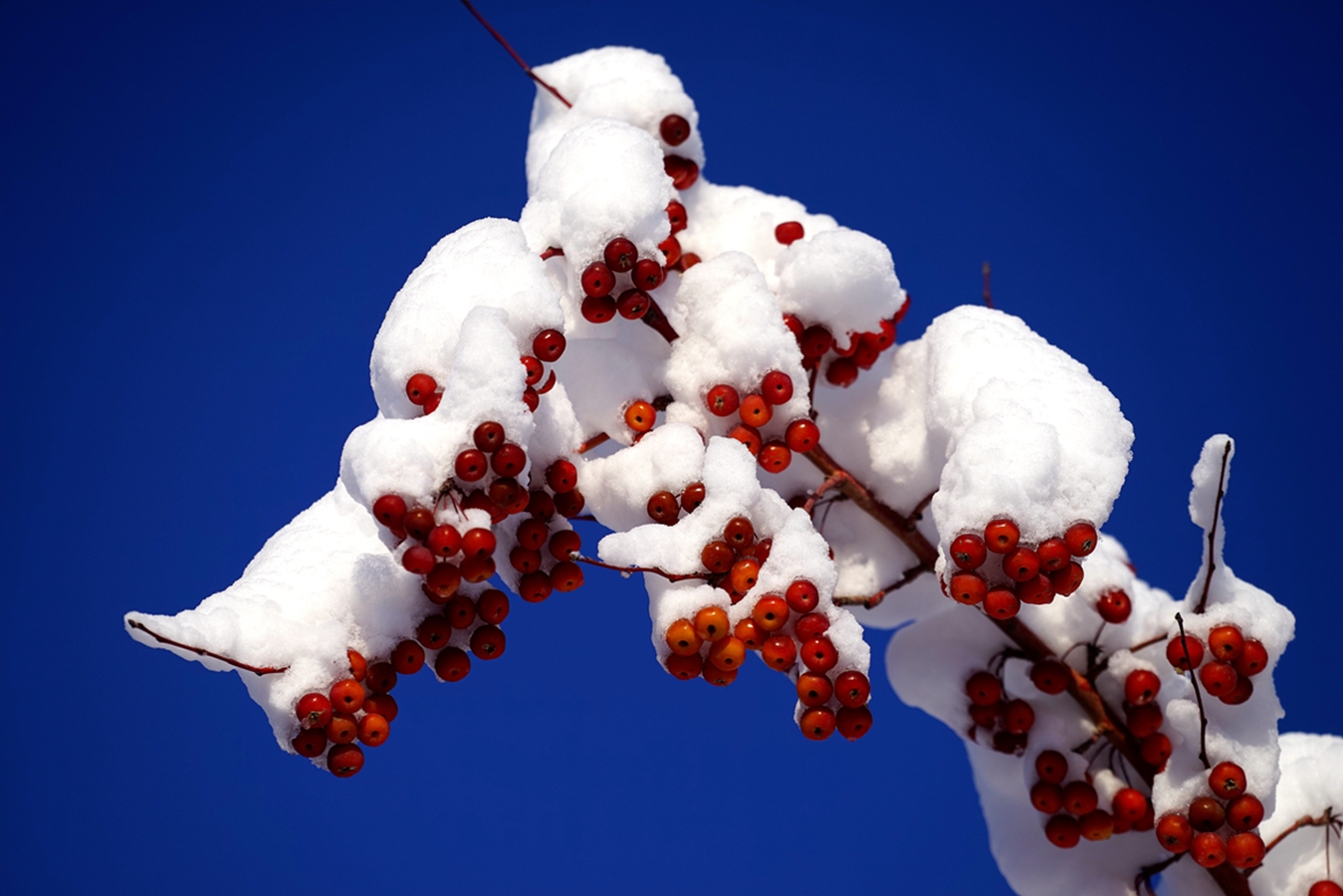 ���Ǻ�« (5).jpg