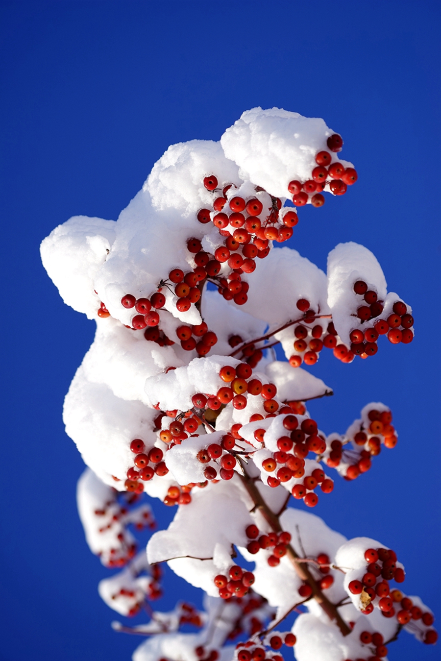 ���Ǻ�« (6).jpg