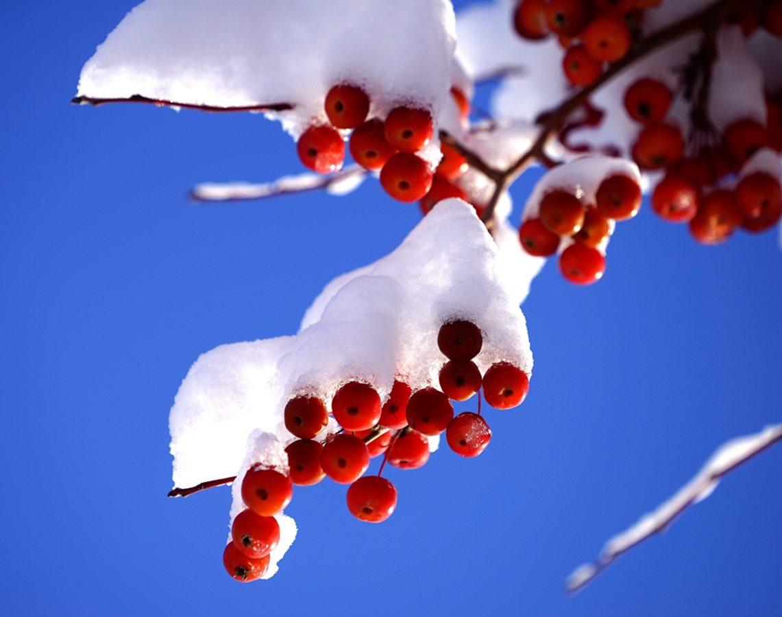 ���Ǻ�« (7).jpg