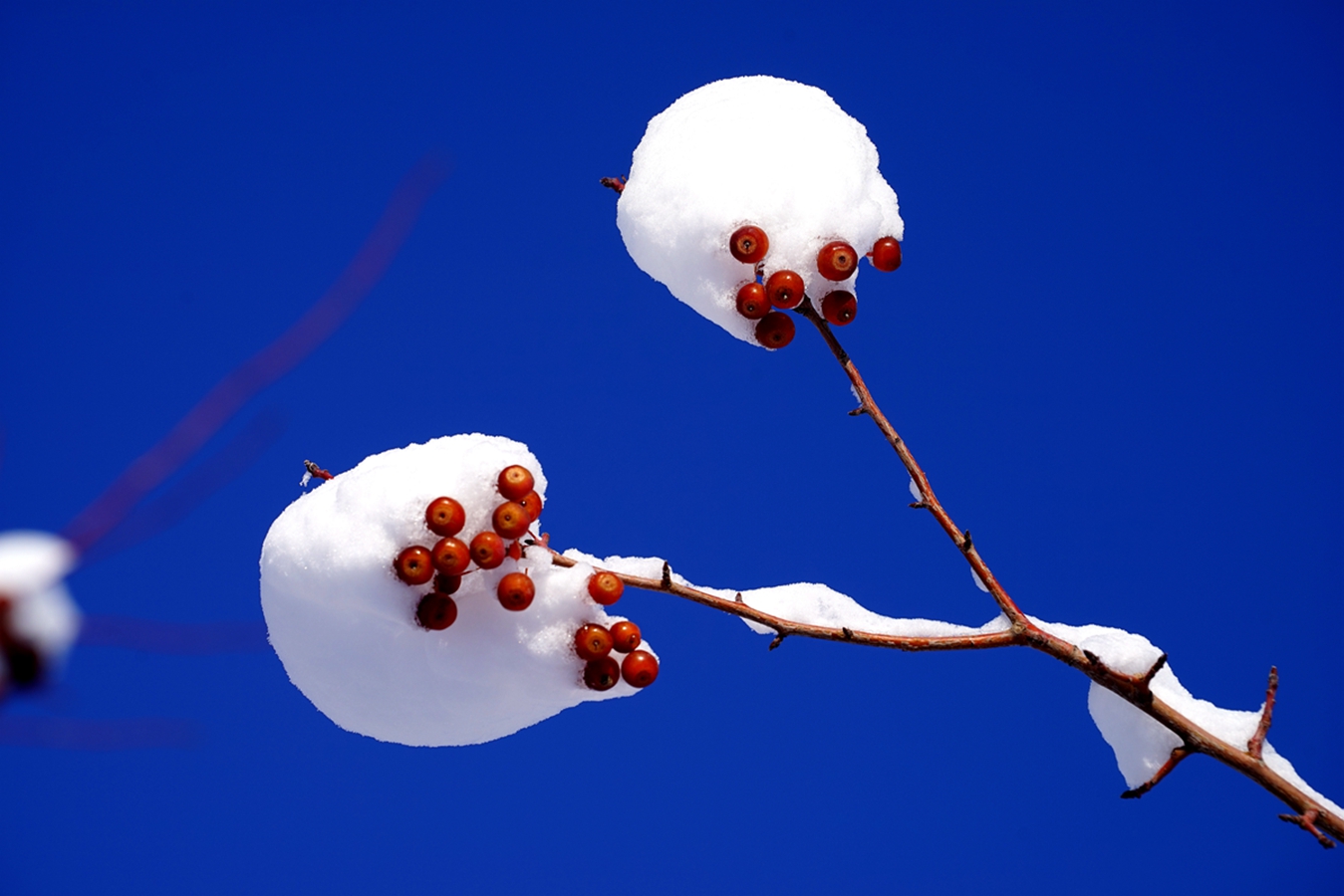 ���Ǻ�« (8).jpg