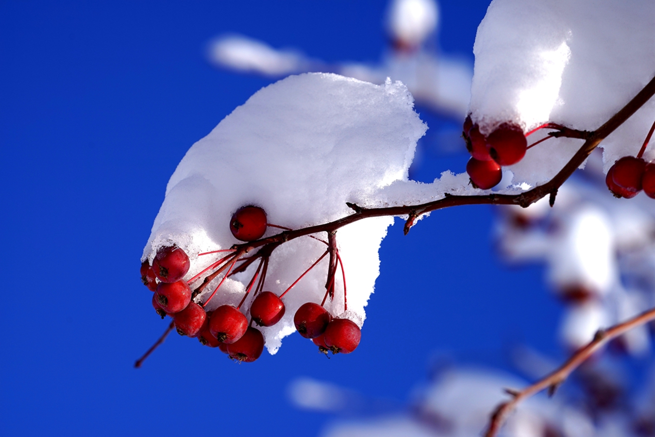 ���Ǻ�« (9).jpg