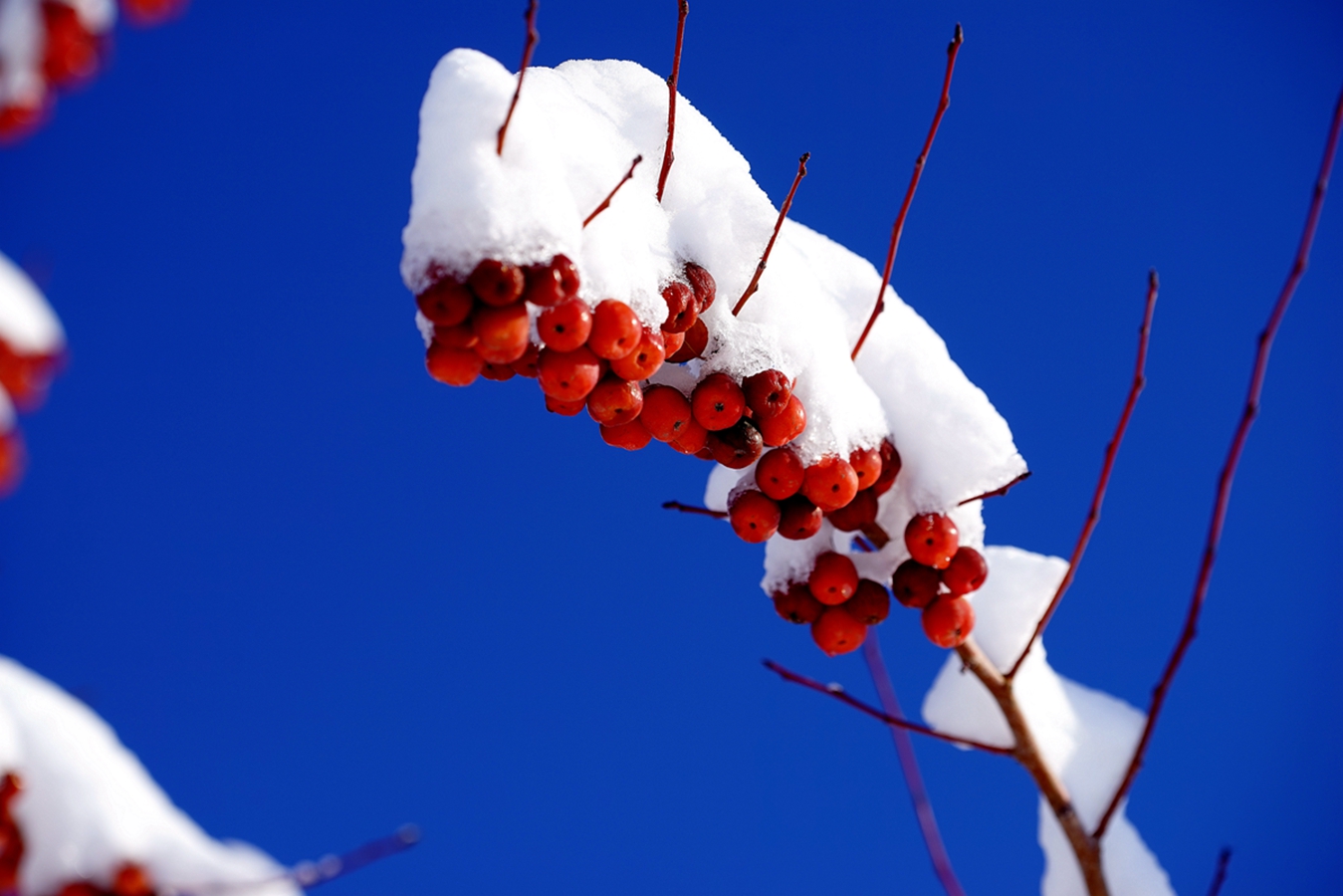 ���Ǻ�« (10).jpg