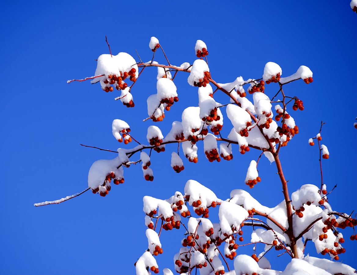 ���Ǻ�« (12).jpg