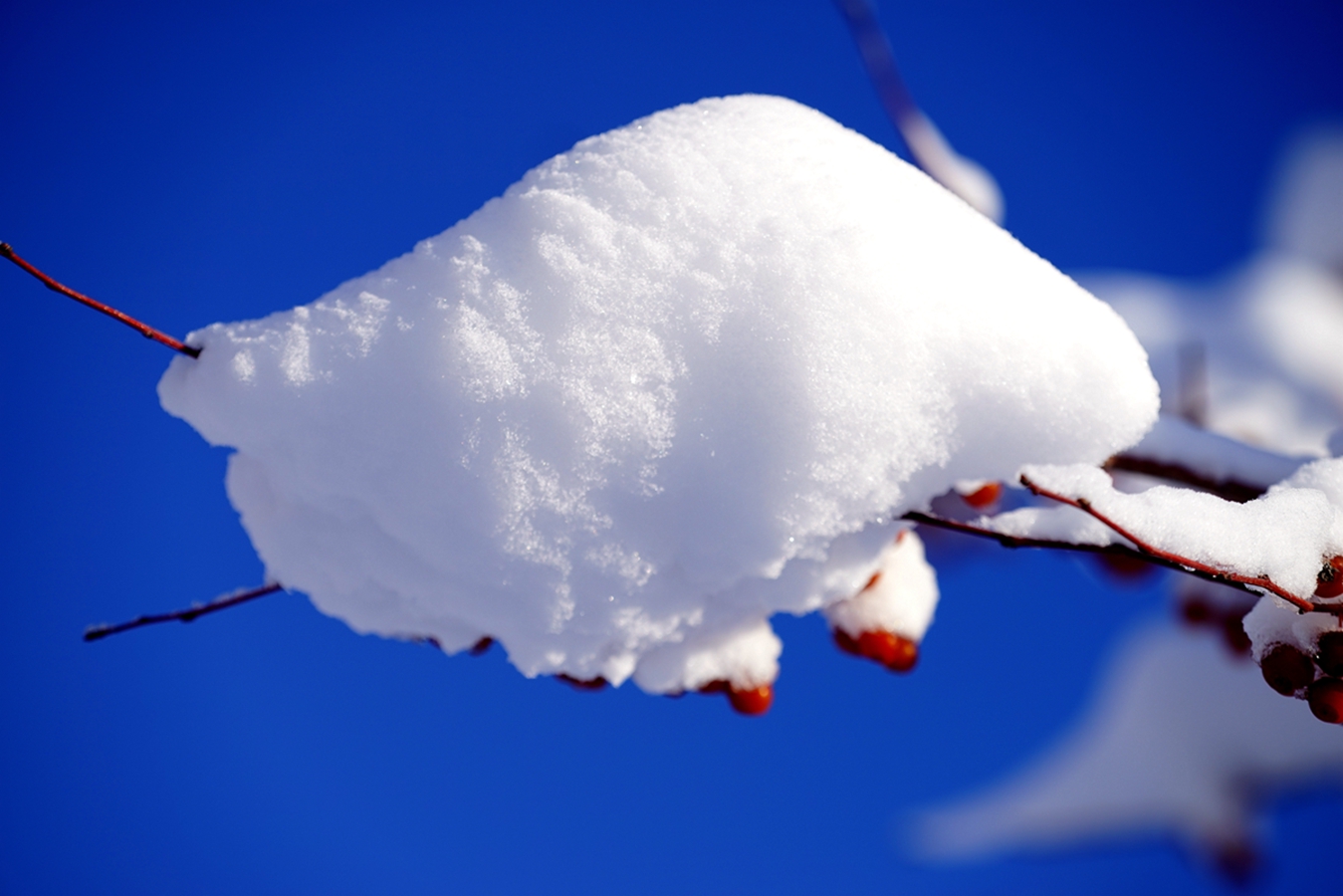 ���Ǻ�« (1).jpg