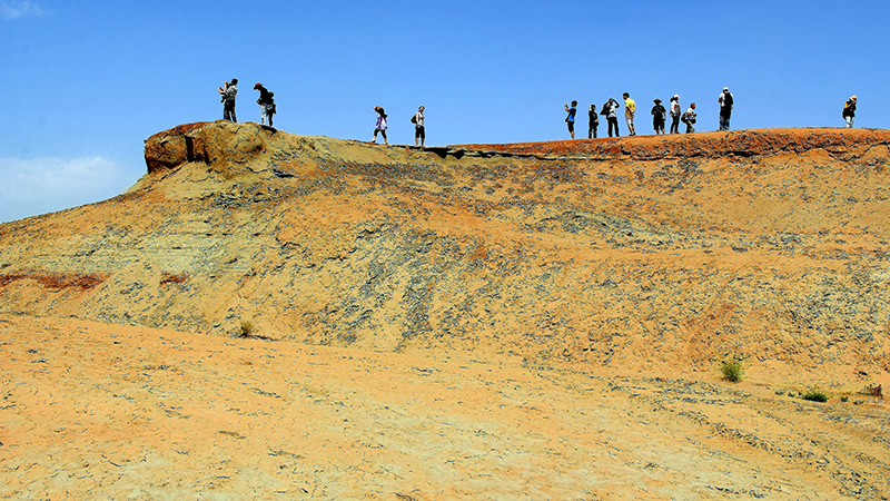 �����ۣ����� (3).jpg