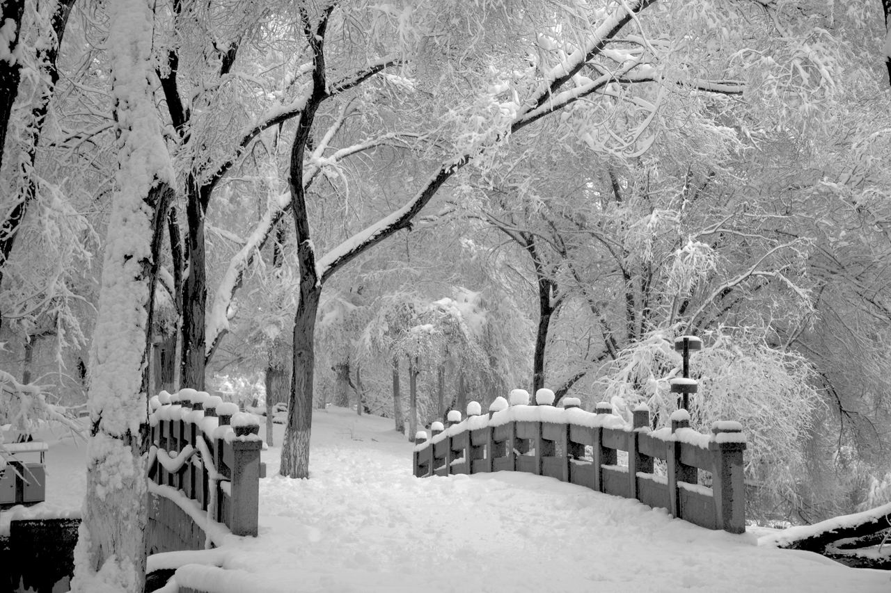 ������С DSC_01980.jpg