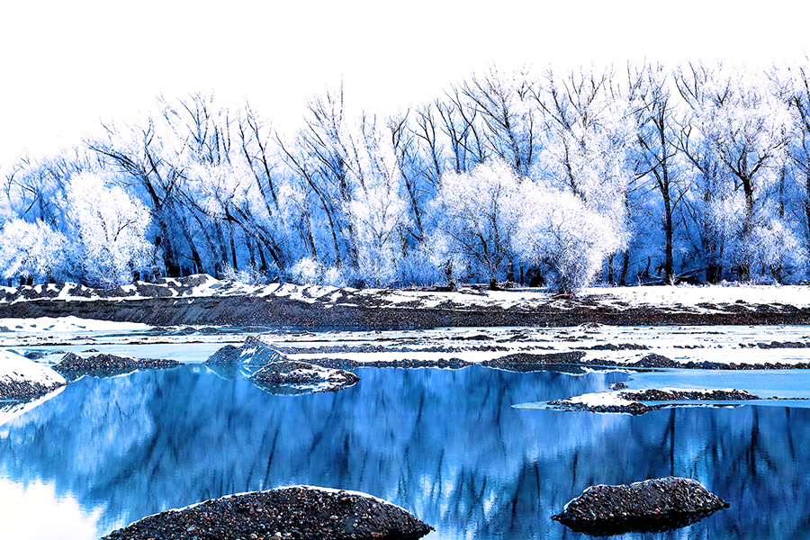 ����΢�� (1).jpg