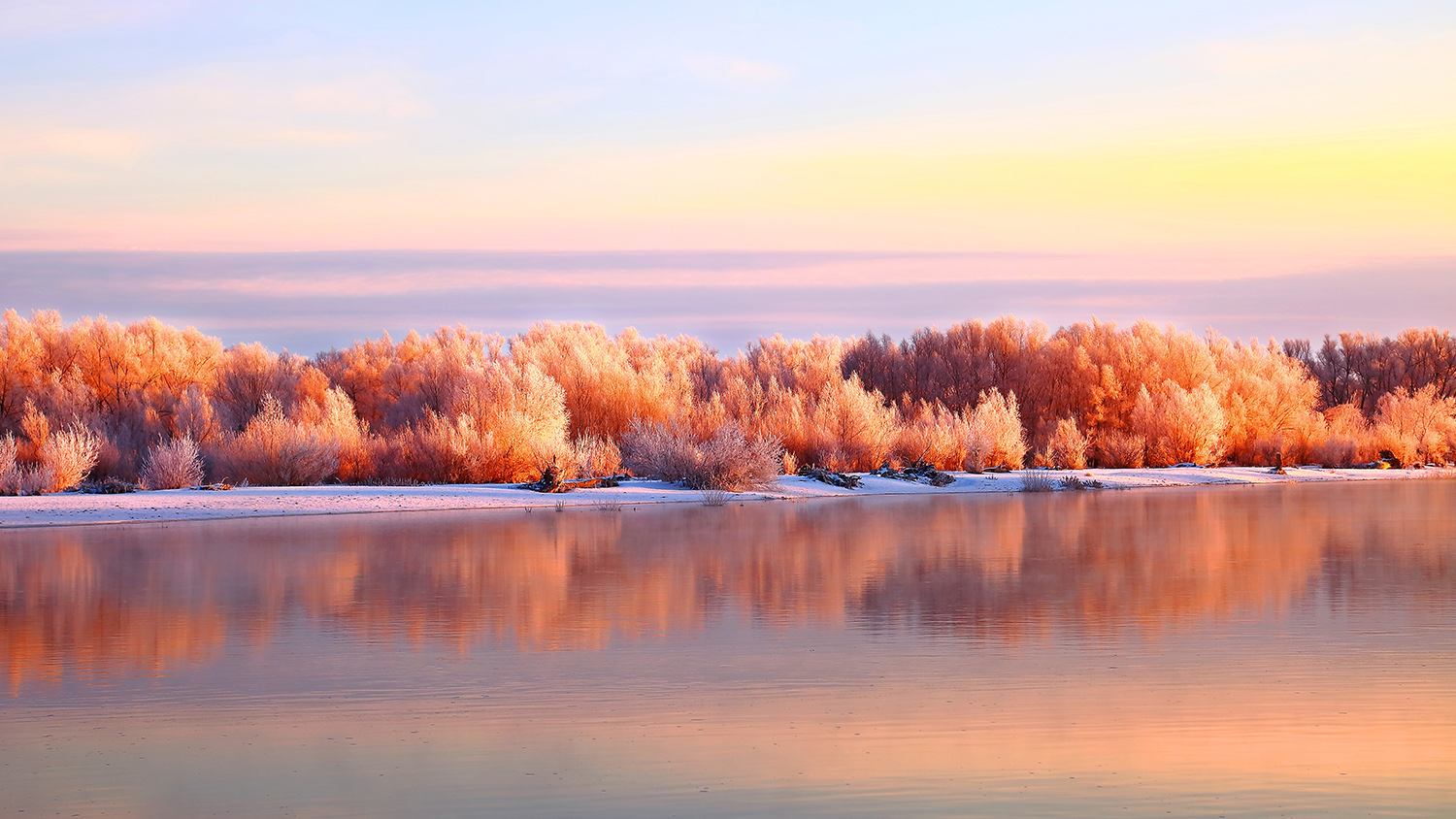 ����΢�� (4).jpg