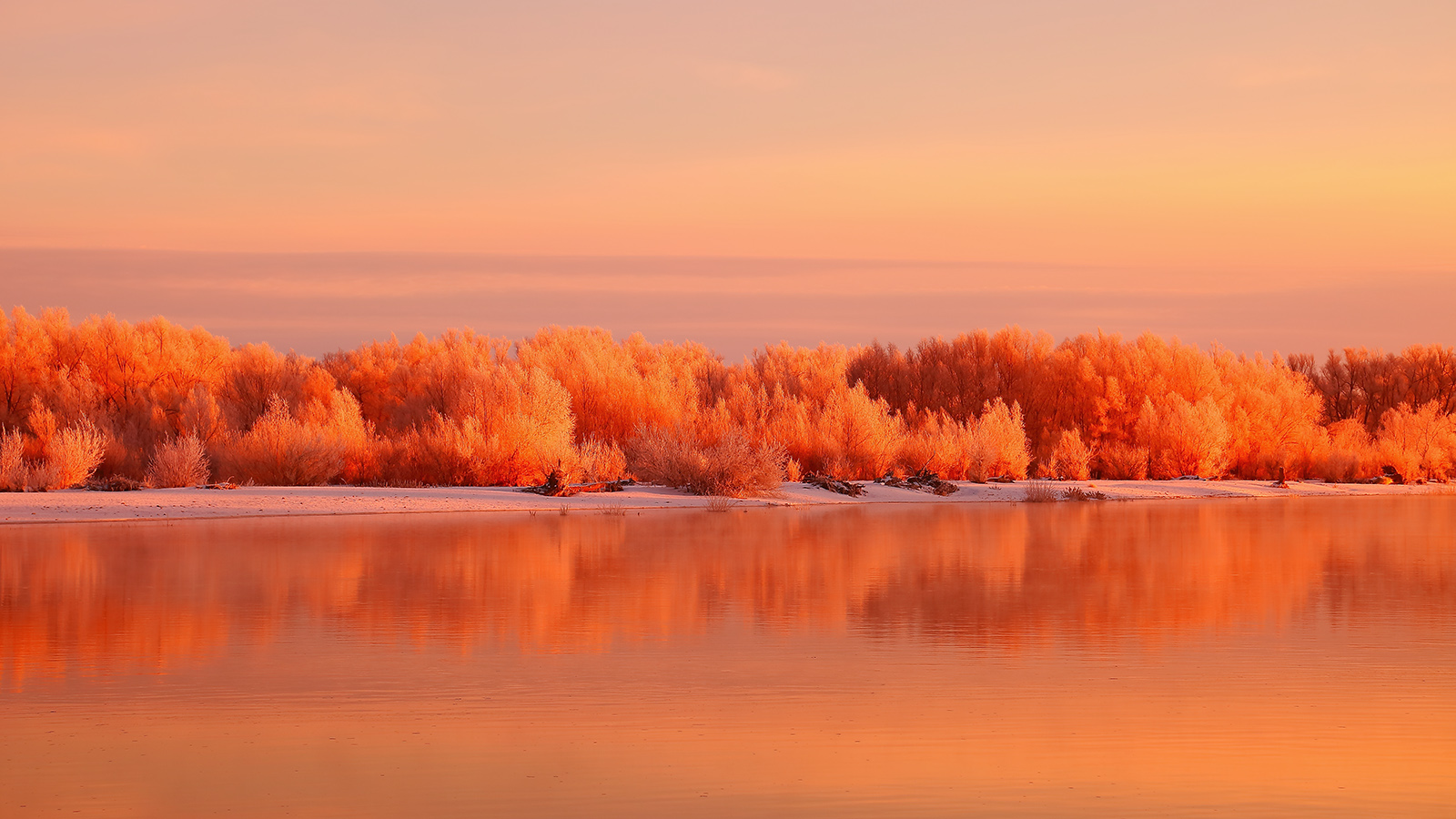 ����΢�� (5).jpg