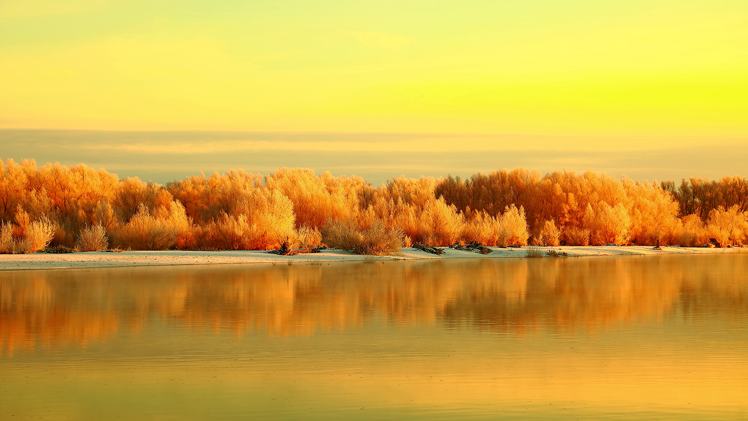 ����΢�� (6).jpg