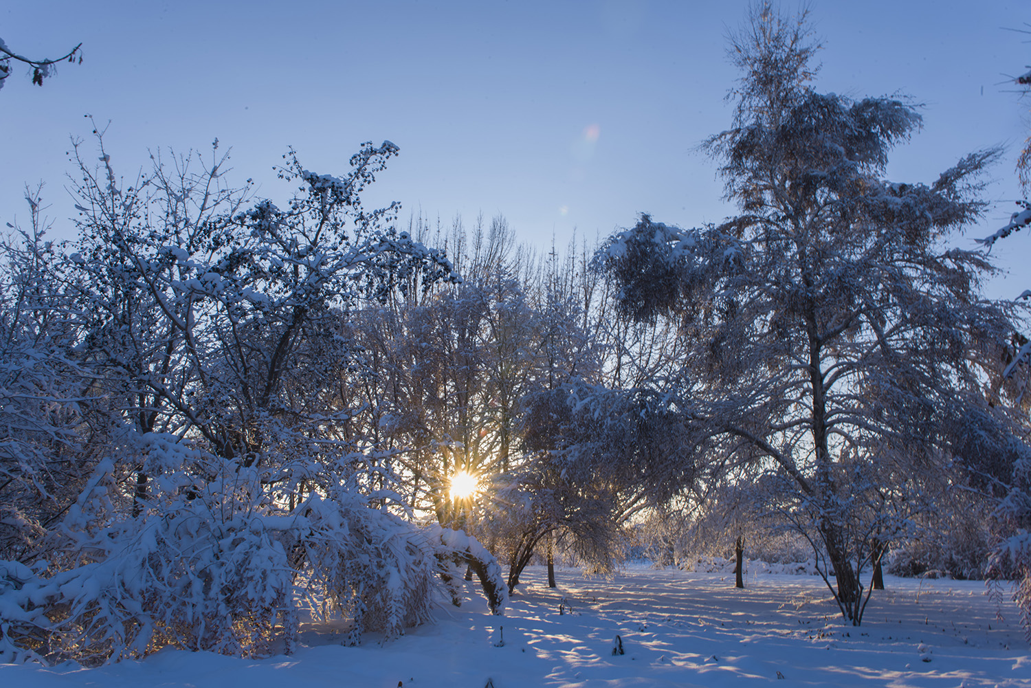 �ž��ı�����԰