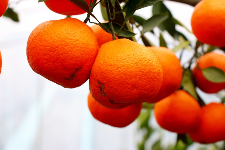 IMG_0061 (2)_conew2.jpg