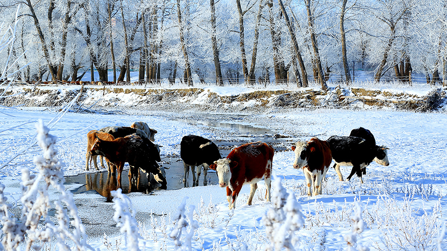 ��Ӷ��� (1).jpg