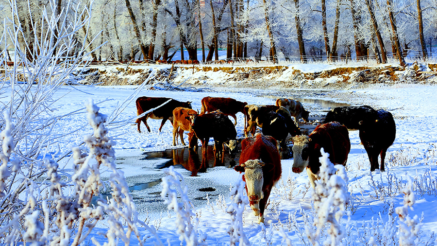 ��Ӷ��� (2).jpg