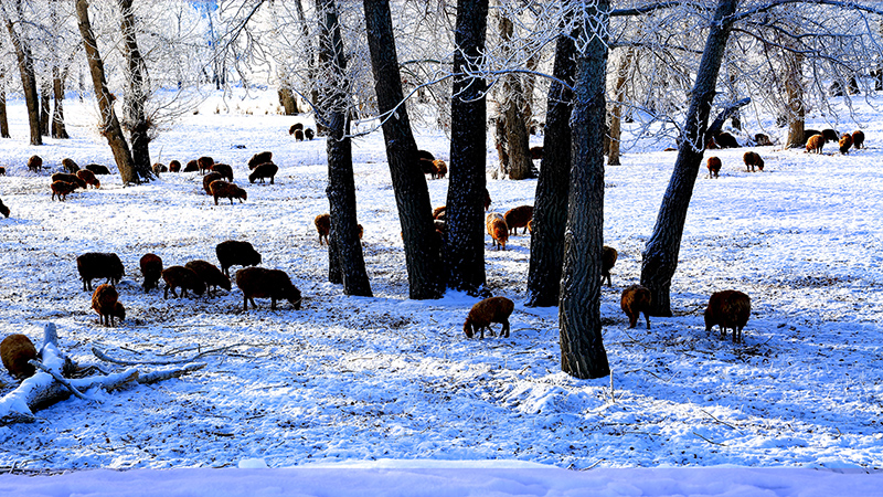 ��Ӷ��� (3).jpg