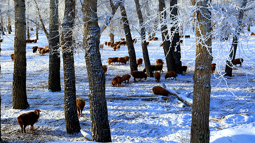 ��Ӷ��� (5).jpg