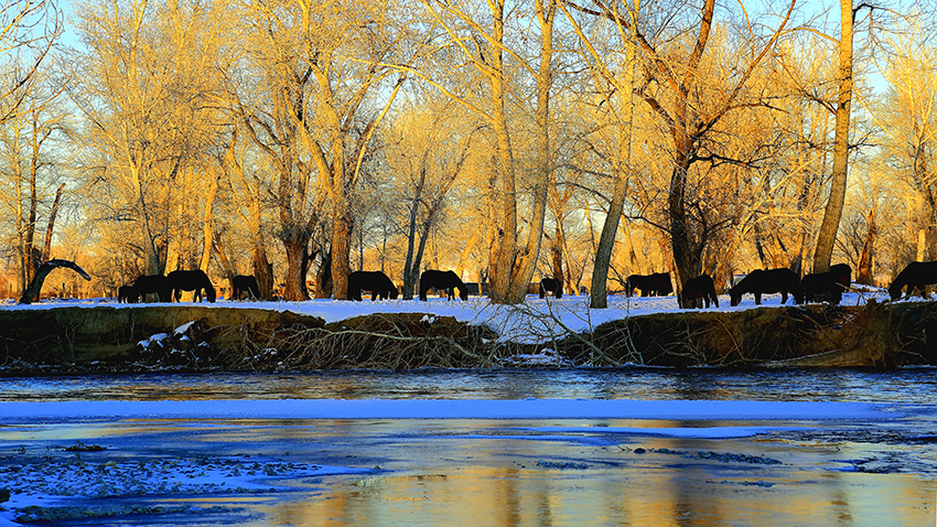 ��Ӷ��� (6).jpg