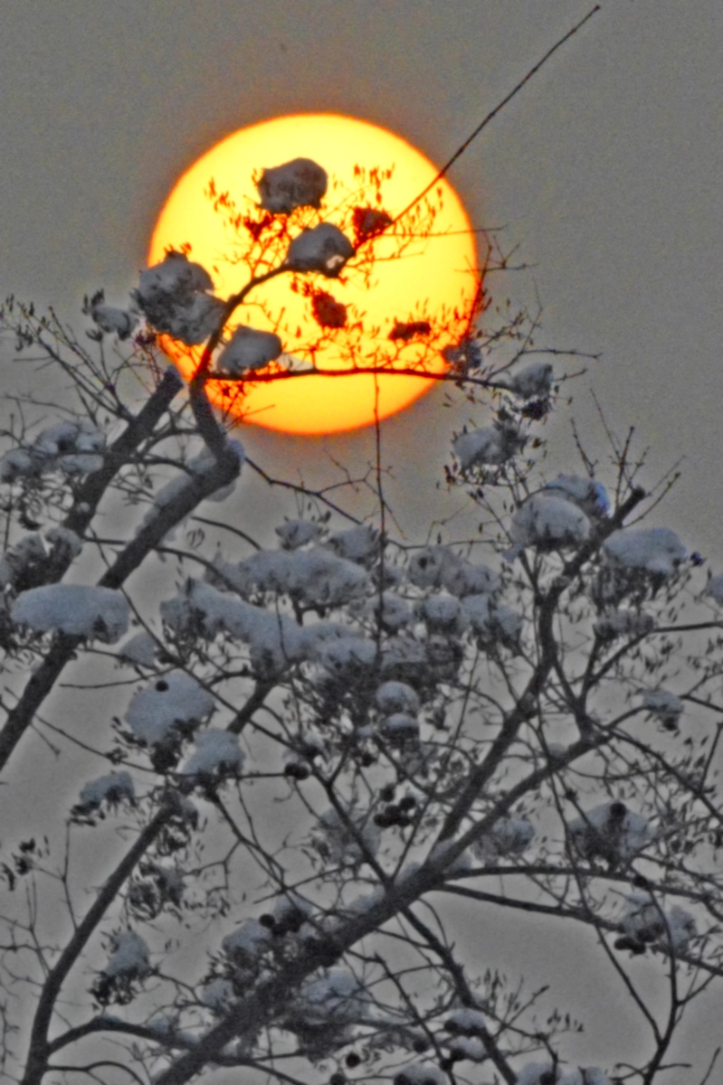 nEO_IMG__DSC9077 (2).jpg