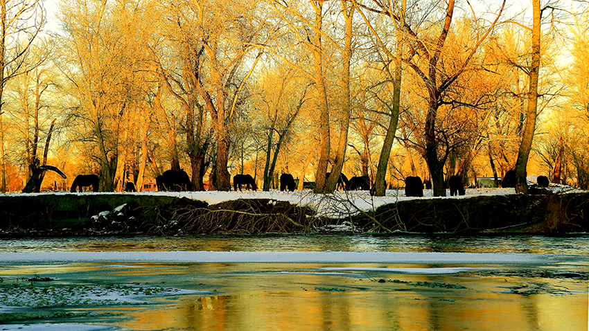 ��Ӷ��� (7).jpg