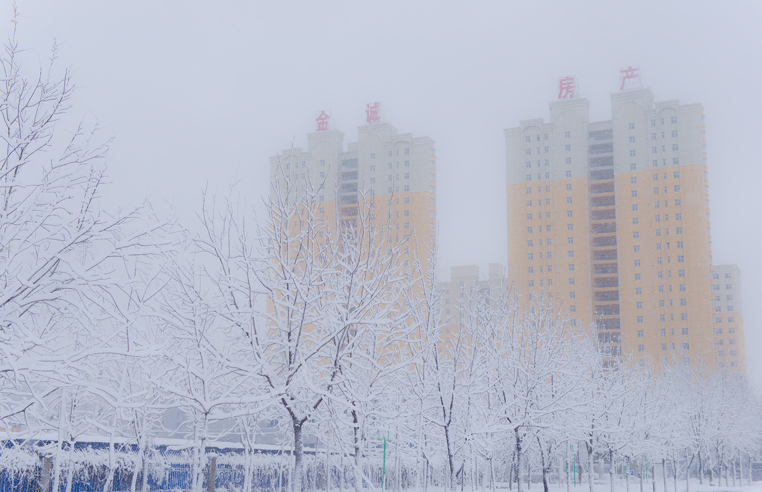 ���������ķ��ز�ҵ