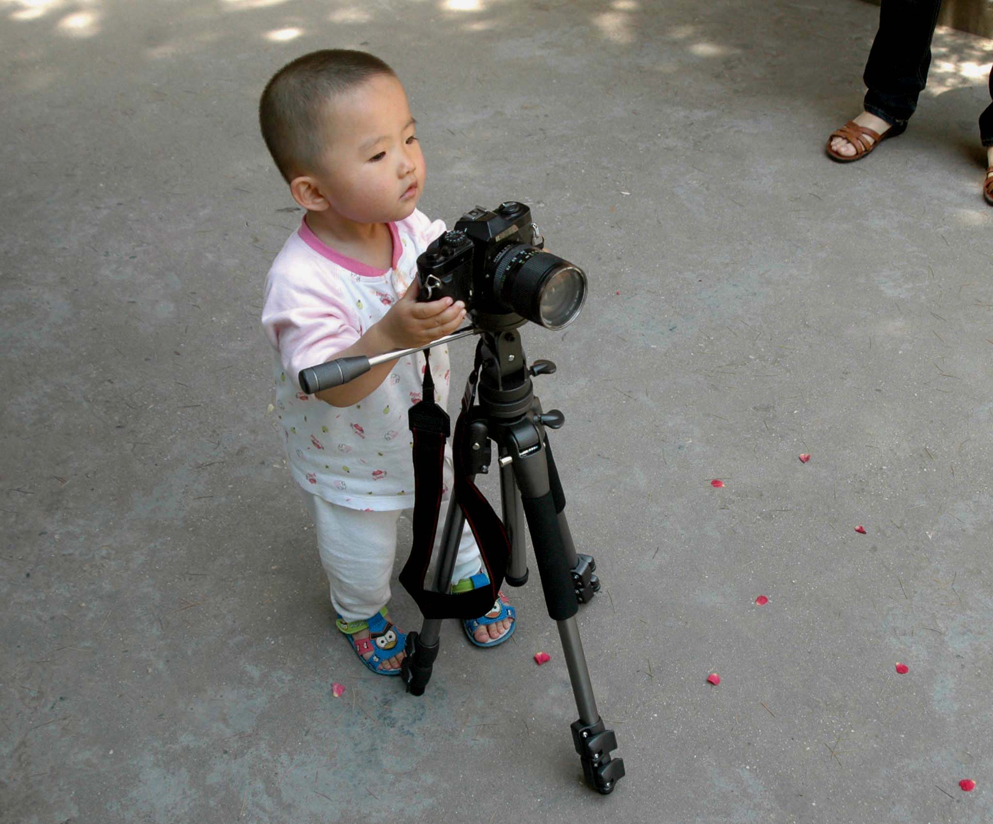 ��С����Ӱ