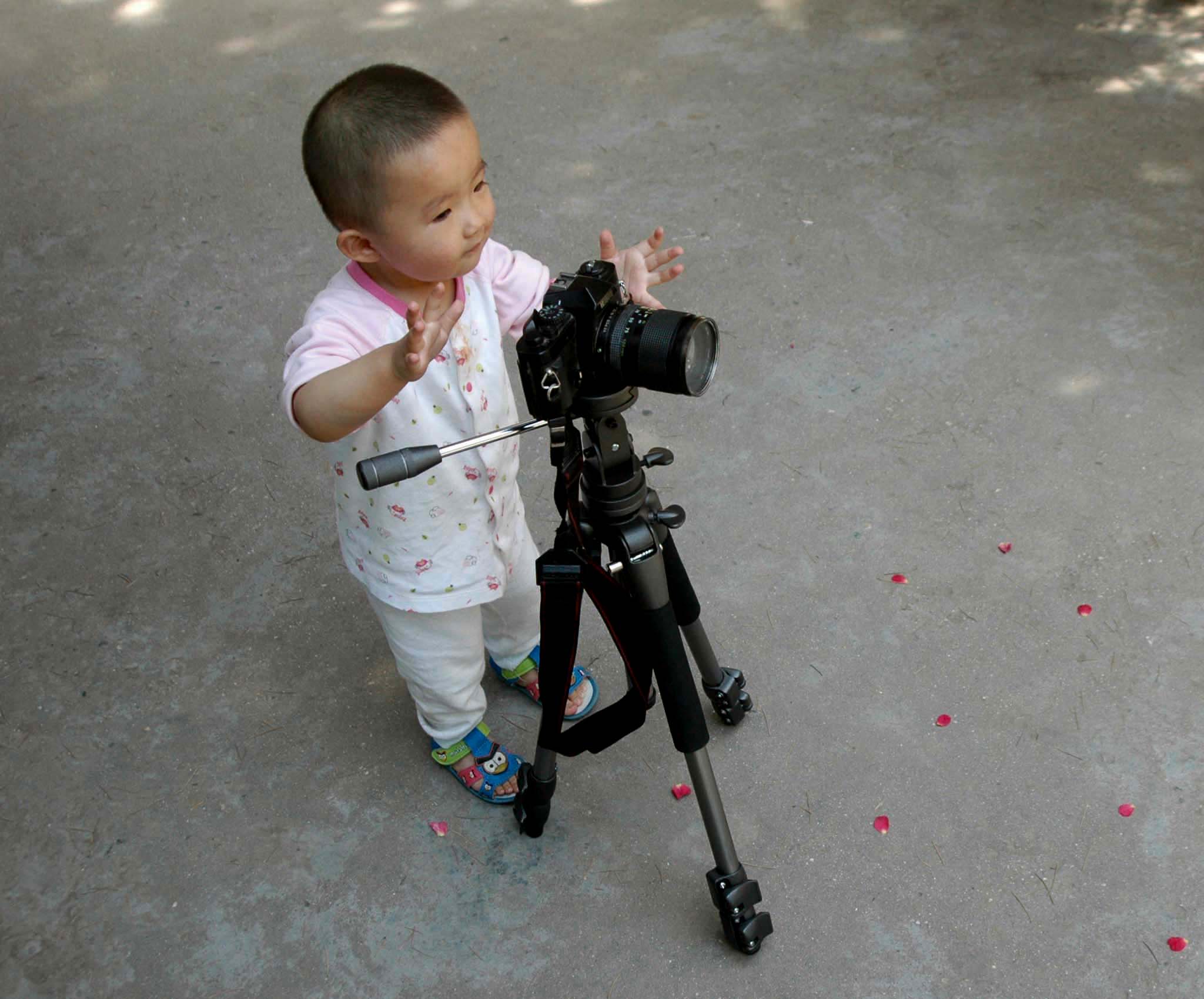 ��С����Ӱ