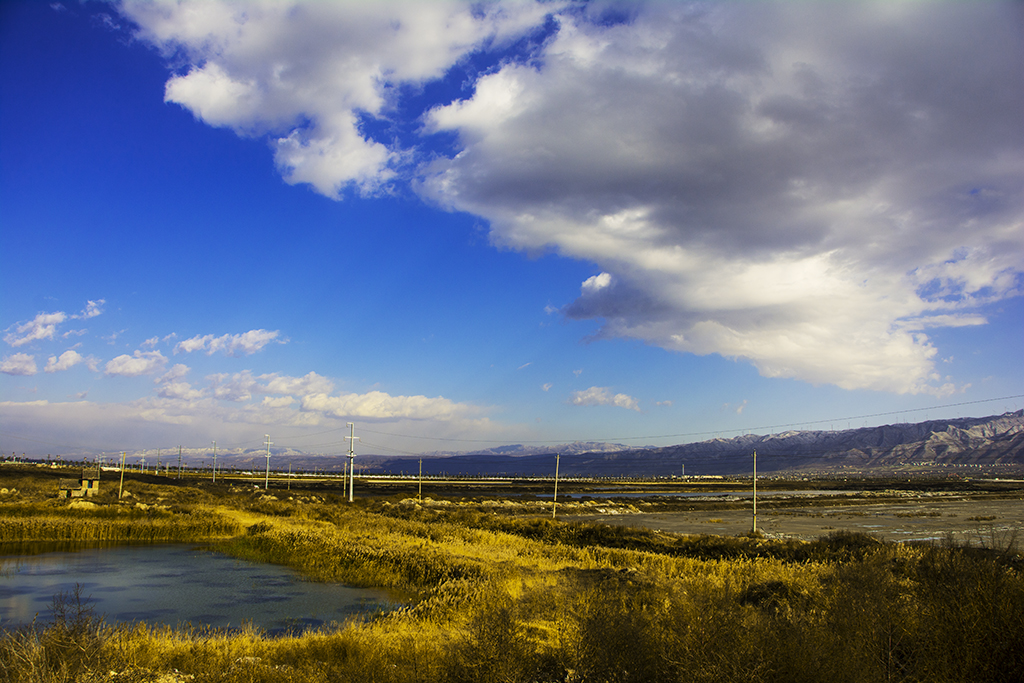 �������