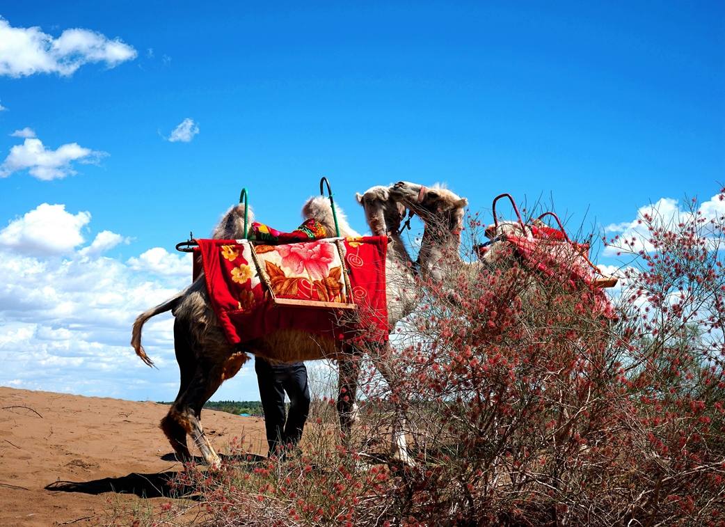 ����֮��1 (3).jpg