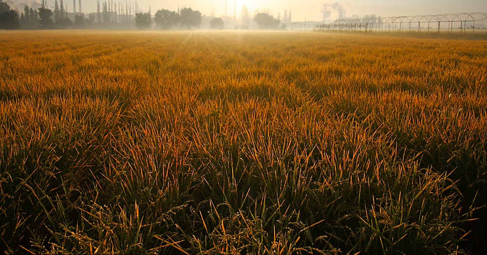 ��Ƭ 075����.jpg