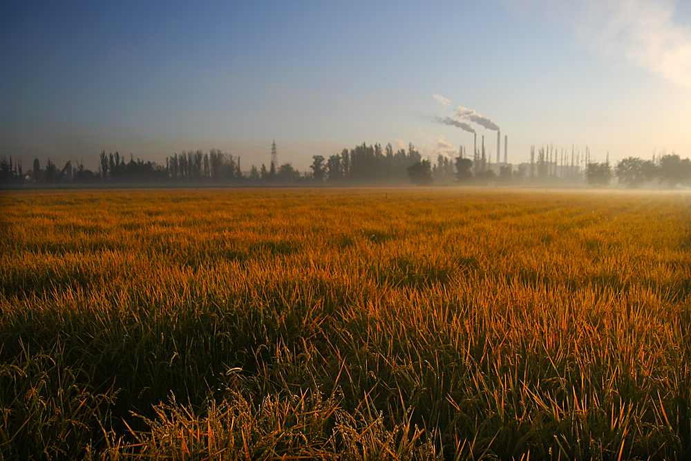 ��Ƭ 076����.jpg