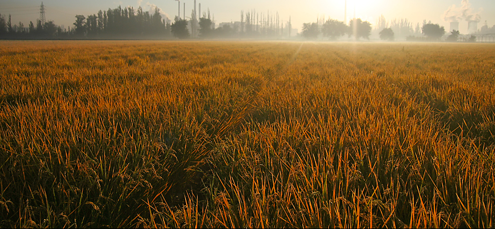 ��Ƭ 077����.jpg