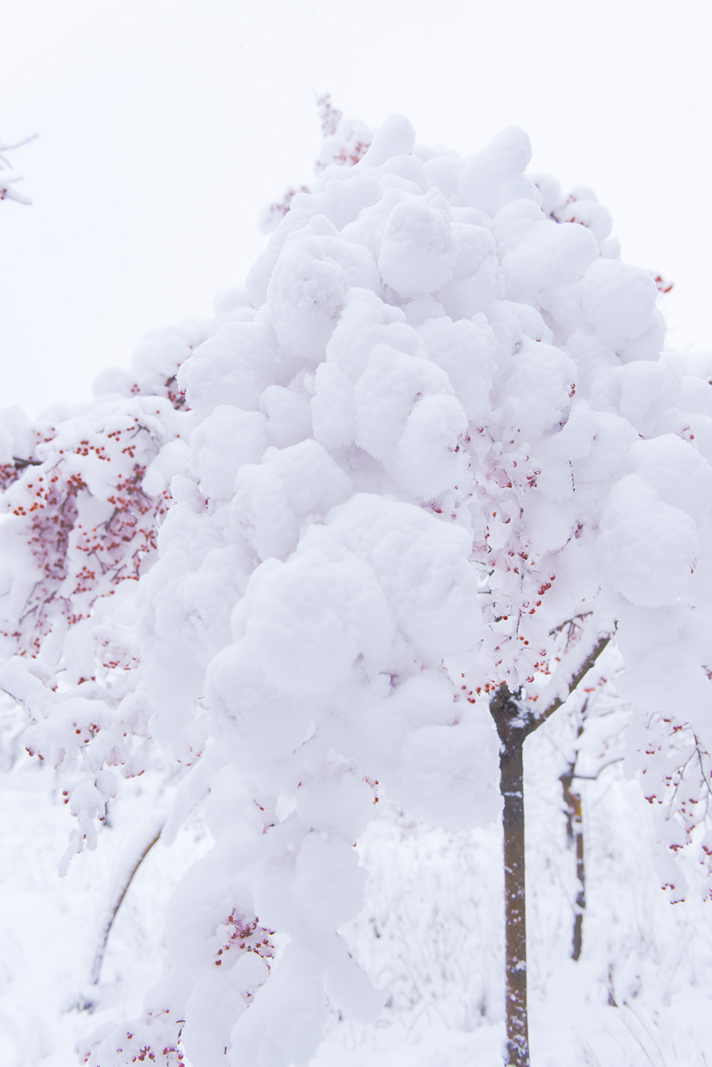 �޻�����ʯ���